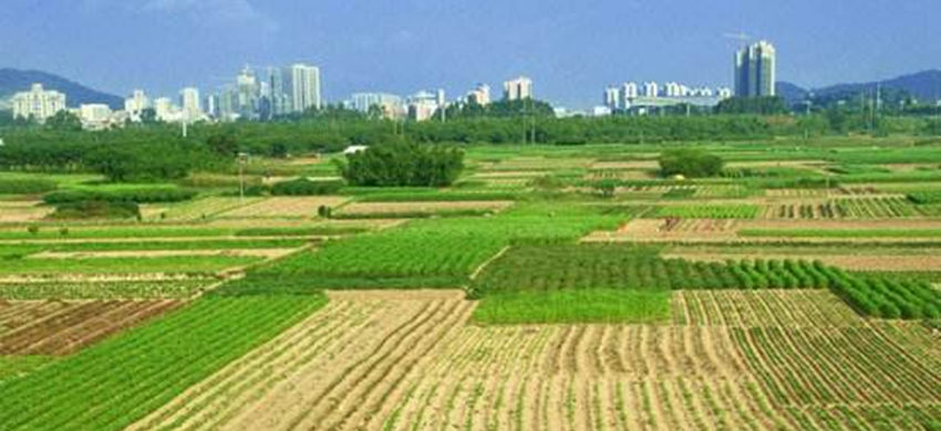  「补贴」9月这几笔补贴会陆续到账，你一卡通有消息了吗？农民要