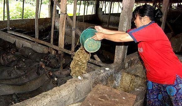 农村环保再升级，这4种东西禁止使用，违者罚款，农民一定要重视