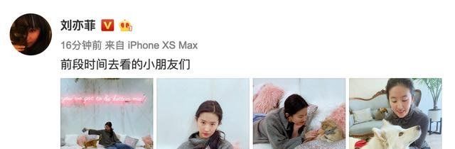 粉丝:杨幂晒手写信表白粉丝,刘亦菲与小动物互动,baby带小海绵摘草莓