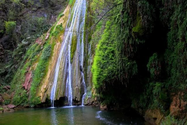  【马村贡米】走进青川县建峰镇