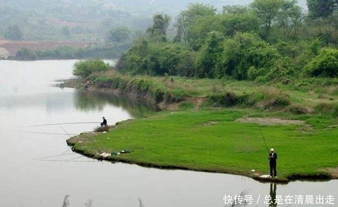  优点@退水后，鱼难钓？那是你不了解这几个关键，不是老钓友根本想不到