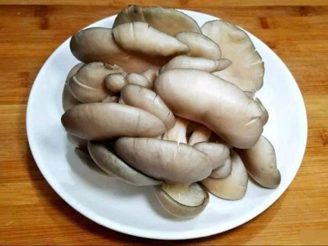  #路边#路边丢的“菌包”，老爹捡回家，三天两头一喷水，长出了大蘑菇