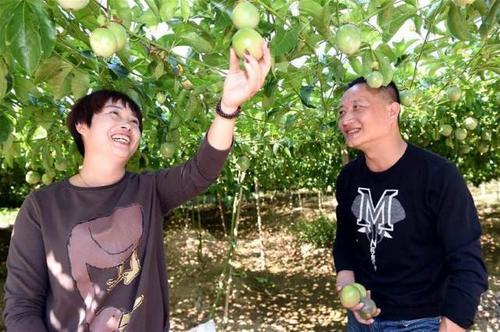  #农民朋友#农村有3个项目农民朋友可以试一试，虽然说门槛高，但