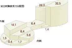 袜子界的比基尼，永不掉跟、透气隐形，让你穿着高跟鞋也能去旅行