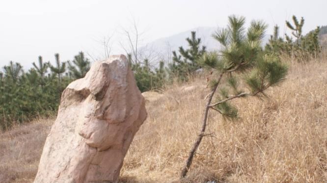 世界上最奇特石头，一块巨石被整齐切割为两半，专家至今无法解释