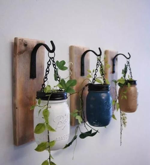  「空间」植物还种在地上？隔壁邻居把植物挂在了墙上，美翻了