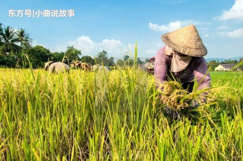  #农业#为什么美国粮食出口总是世界第一？