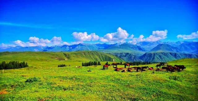 中国最美公路 一年仅开放5个月