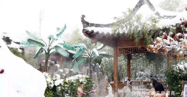 作为一个山东人，下雪不只有刷朋友圈，还要……