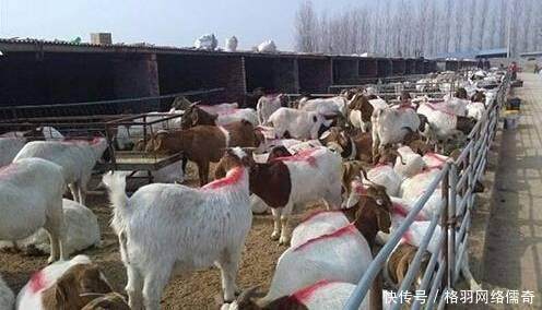 农村里从事这六种工作的人都发了大财，经济条件比城里人好多了!