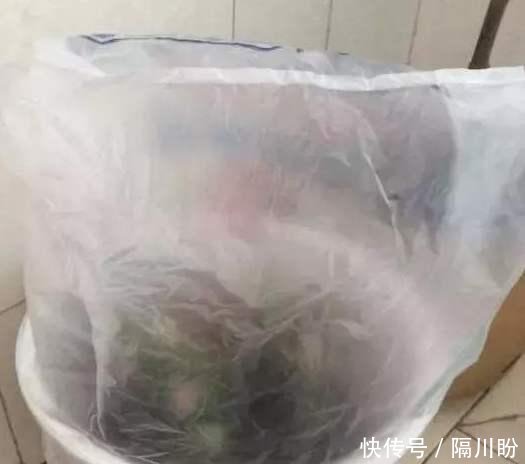  花盆@方便袋别乱扔，套在花盆上，保温保湿用处大，花苞叽里咕噜挤满盆