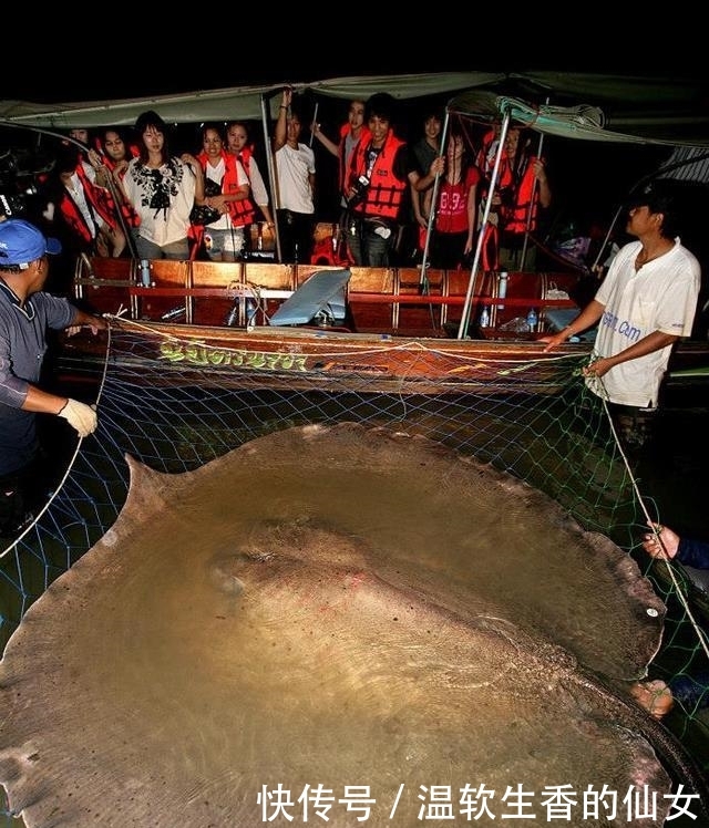 强烈要求李大毛老师停止游钓中国, 远征湄公河降服真正的巨物