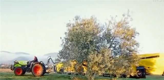 德国机械有多牛？采摘水果全用机器，一天可抵50个果农！