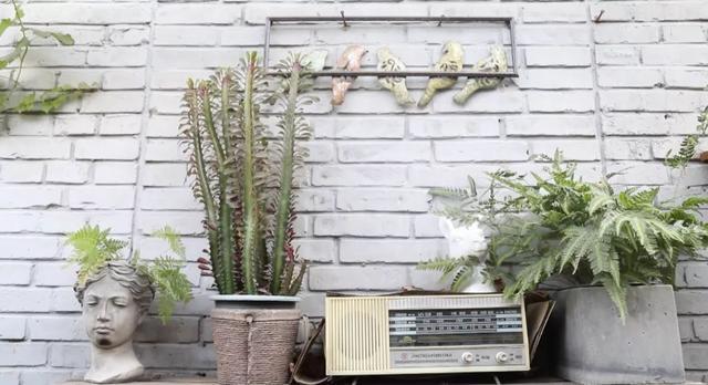 藏在北京小院里的悠闲小时光,生活原来可以这么惬意