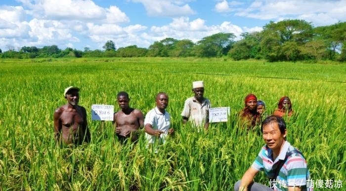  非洲地区：非洲为什么没人种地？因为没有中国人在这里，非洲人