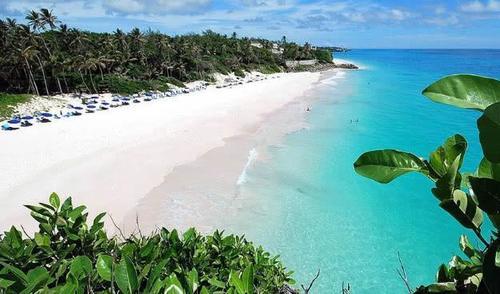 全球唯一黑人发达国家，当地人比中国人都会种地，收入是中国3倍