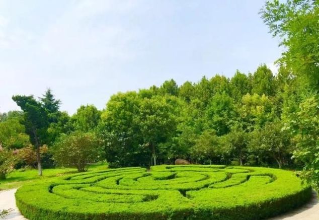 就在青岛！地铁直达、免费开放、紧邻八大关、隐蔽的小树林...这