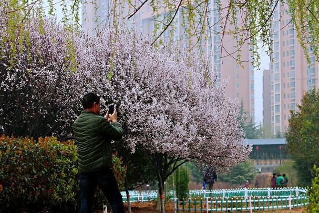 三月春暖花开,又到了寻花问柳的季节!