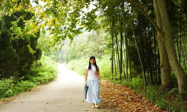 寻找深山藏宝图，养蜂老人独守林区，甜蜜的背后是孤独