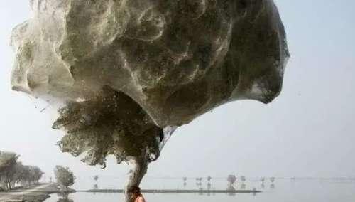 20张不可思议的照片，证明大自然无所不能！