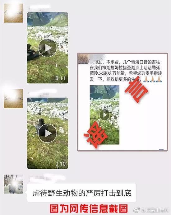 网民举报有人在西藏山南勒死藏羚羊 官方辟谣_