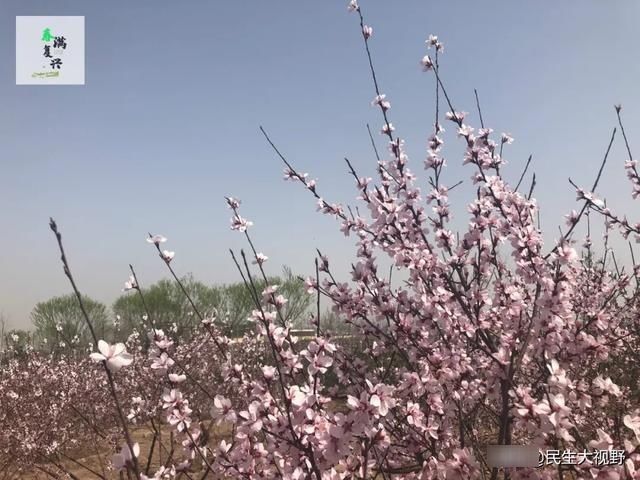  「复兴」映像旅发：春游复兴掠影