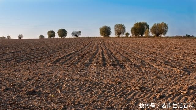  「收钱」土地确权过程中，农村承包地变多了，然而村里还是要找