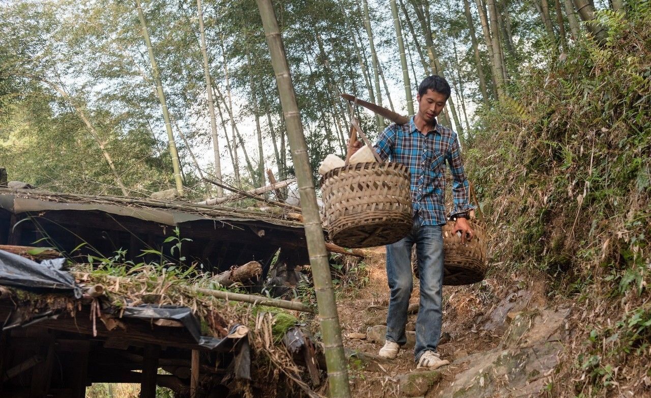 36岁农民解散IT公司，回农村干起了这个，半年就赚到了15万