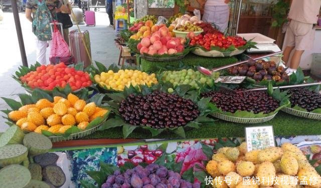 游记苏州——上海——绍兴，下江南之旅