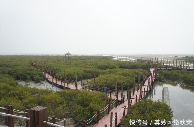 广西仅上榜最有投资潜力的8个县