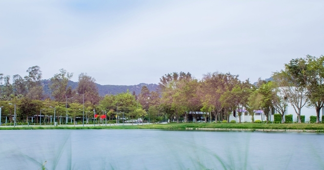 广东将迎来新高铁，湖南这几个城市受益最大，会经过你家乡吗