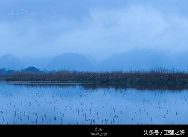 【空谷幽兰】烟雨花香又一春