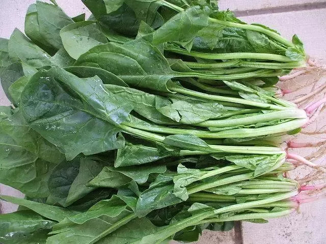 【辟谣】食物相克??NO!看这里?