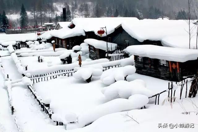 雪乡冰清玉洁的童话世界仿佛置身于《绿野仙踪》里北风女神的宫殿