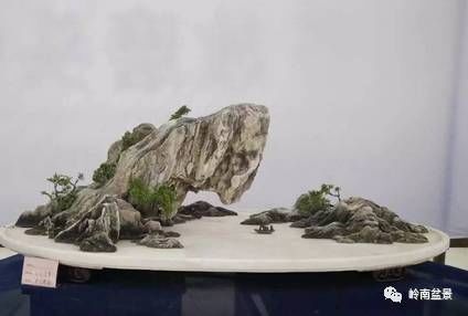 盆景构景十种风格