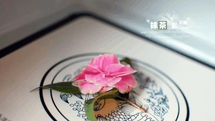  『微波炉』这种鲜花经久不衰，常开不败，一眼就喜欢上了！