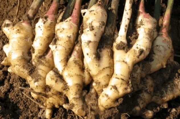 女人过了40岁，当脸上长出斑点，用这一个土方法，可以淡化斑点