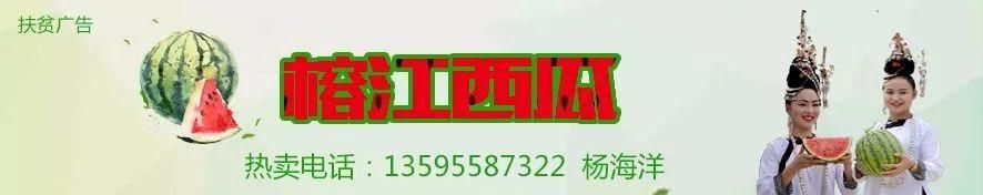 榕江1人因编造吃猪肉中毒死亡谣言被拘留