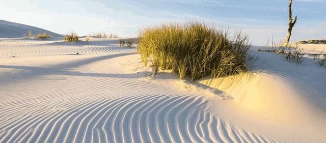  「好处」中国沙漠都变为森林, 对世界真的只有好处吗? 说出来你