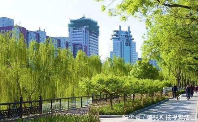  生活片|为什么现代生活片都选在北京上海拍，而不是广州深圳？可