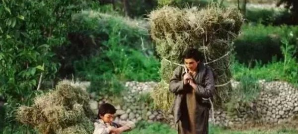 人均寿命120岁以上，吃的东西很奇葩，看了以后明白了