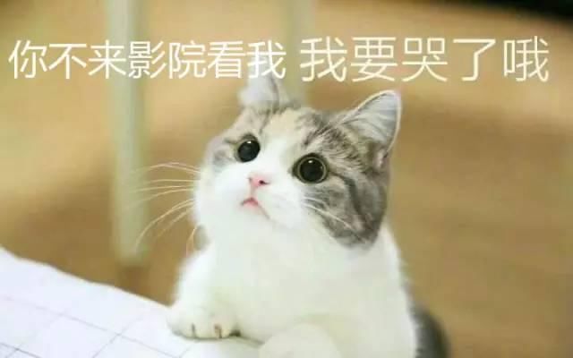 爆笑时刻:骗子以假疫苗事件对父母进行短信诈骗，熊孩子神回复!