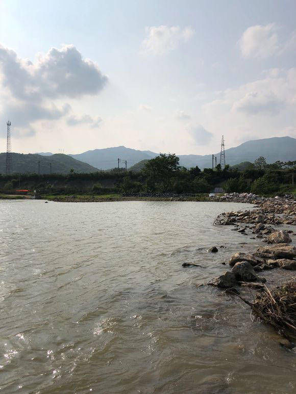  【水域】斑鳜栖居于清净水域，被誉为“淡水鱼之王”