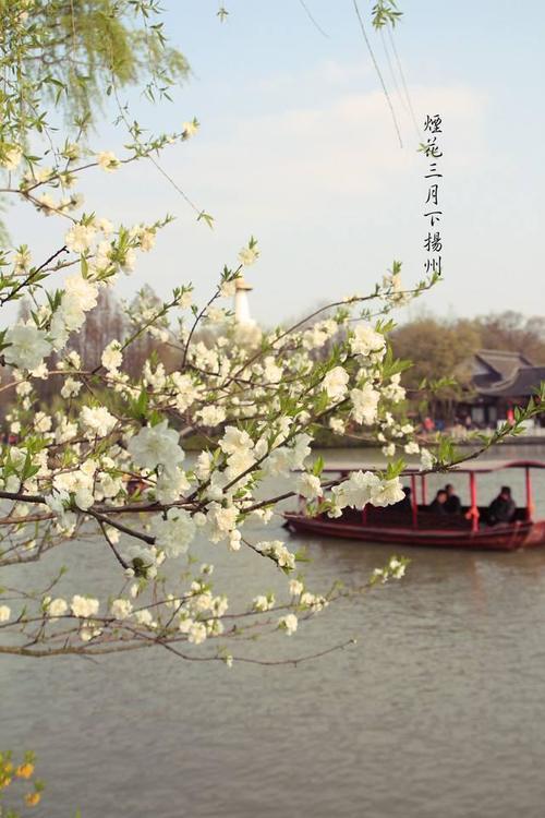 再过一个月，这些地方就美成仙境了！