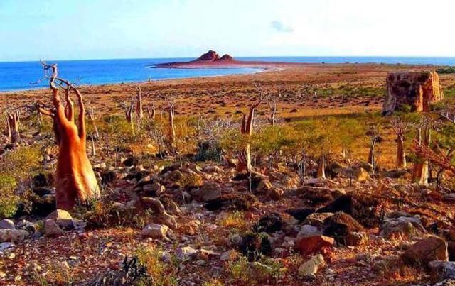 一岛，亚洲世外桃源，与大陆隔绝1800万年，岛上花鸟鱼虫都是宝藏