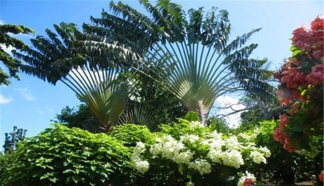 世界上最穷的国度:一般人都不敢去，中国商人却靠摆地摊年赚百万