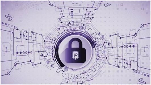 世界各国政府如何看待数字币？