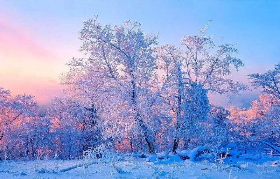 寒潮+暴雪!过年回家路上注意安全