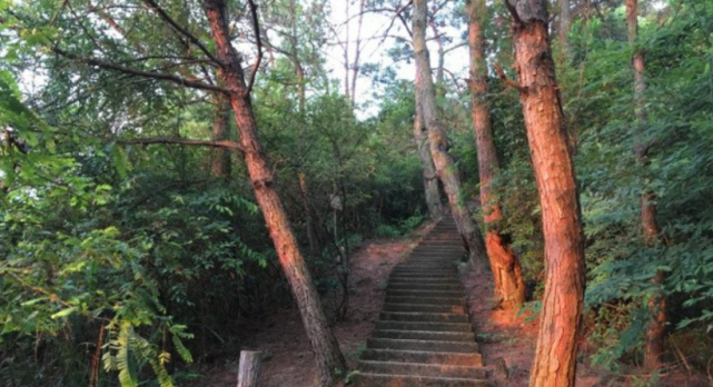 广西这座蓄势待发的黑马，玉林都得往后靠一靠，你知道它是哪里吗