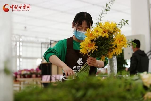  「花卉产业基」兰州新区现代农业示范园：花果飘香春色浓